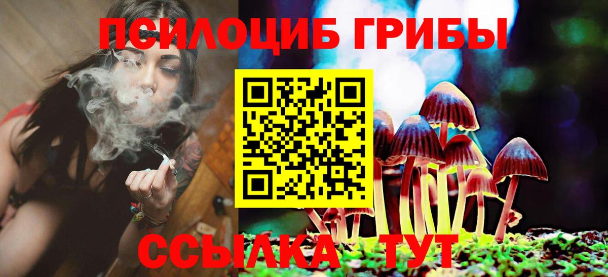 Псилоцибиновые грибы мицелий  Вход с VPN  Юрга 