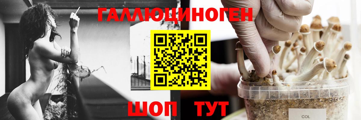 Псилоцибиновые грибы GOLDEN TEACHER Юрга